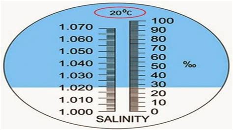 refractometer or hydrometer aquarium|refractometer calibration chart.